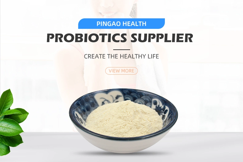 Wholesale Food Grade Probiotics Lactobacillus Acidophilus